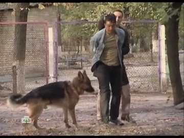 2.	Возвращение Мухтара-2 (2012 год, Режисер Владимир Златоустовский). Серия «Граната» -ЯША – роль второго плана (С 0 минут 35 секунд  до 3 минут 15 секунд) Один из эпизодов: